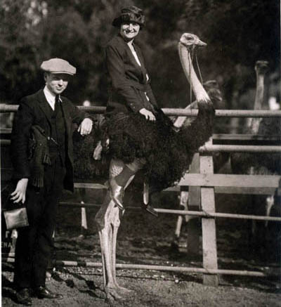 Well-dressed behatted lady sitting atop an ostrich